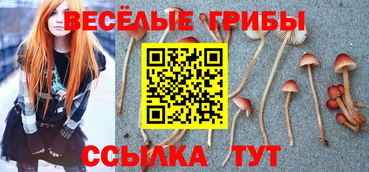 наркотики  Псилоцибиновые грибы ЛСД  Псилоцибиновые грибы MAGIC MUSHROOMS  Вход с VPN  Дедовск 